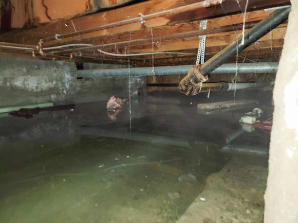 Best Sewage cleanup and water damage restoration  in Paradise, CA