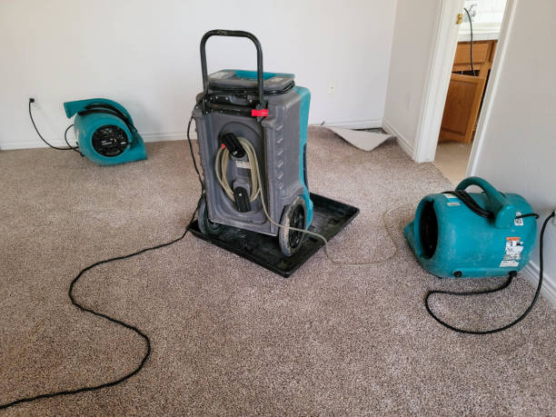 Best Water damage restoration near me  in Paradise, CA