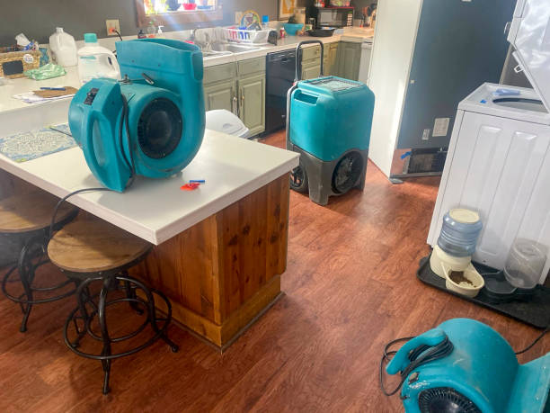  Paradise, CA Water damage restoration Pros