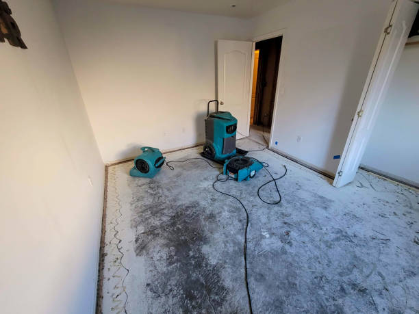 Best Professional water damage repair  in Paradise, CA