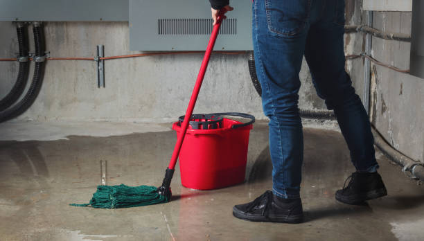 Best Basement water damage restoration  in Paradise, CA