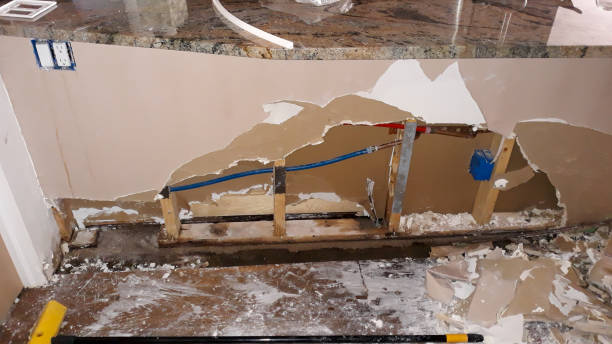Best Flood damage cleanup  in Paradise, CA