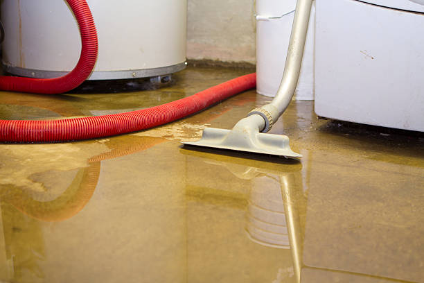 Best Local water damage restoration  in Paradise, CA