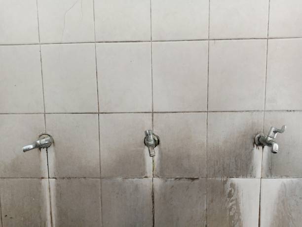 Best Carpet water damage restoration  in Paradise, CA