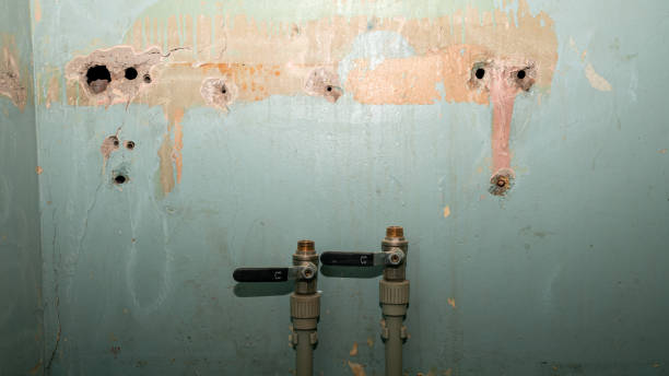 Best Water damage mitigation services  in Paradise, CA