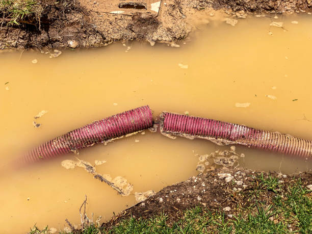 Sewage cleanup and water damage restoration in CA