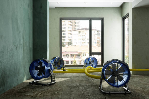 Best Water damage contractors near me  in Paradise, CA